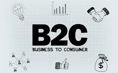 B2C品牌商城系统：未来电商之趋势