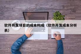 定制软件开发成本与长期回报率：实现企业业务的完美平衡