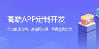 定制开发解决方案：满足企业独特需求的关键