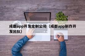 专业高端小程序开发_小程序定制服务提供商_小程序开发公司