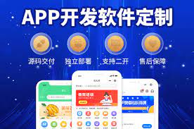 2023年外贸企业跨境电商APP解决方案（最新整理）