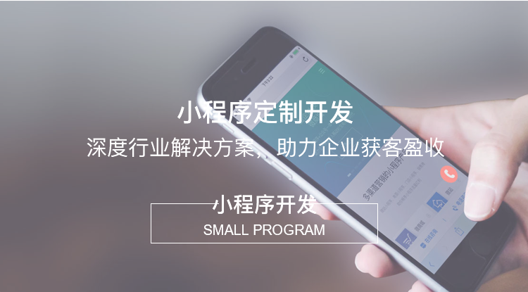 2023年电商小程序开发公司的排名