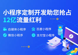 成都小程序开发费用：自建团队 vs. 外包公司